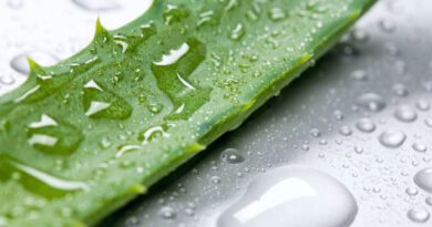 Aloe vera nasıl kullanılmalıdır?