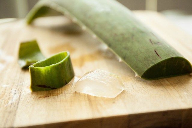 Aloe veranın cilde faydaları cilt çatlaklığından kurtulabilirsiniz!